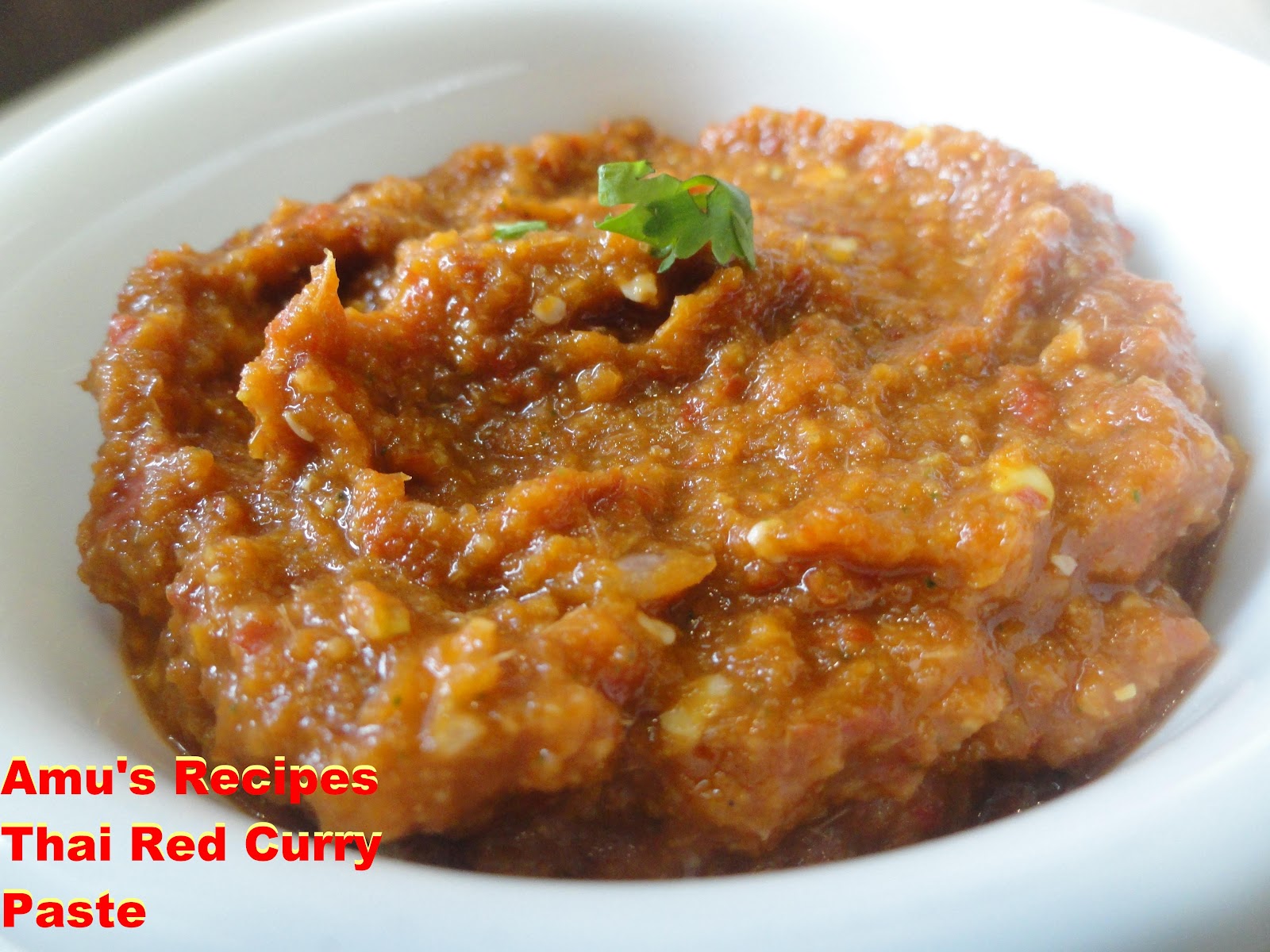 Thai Red Curry Paste 16