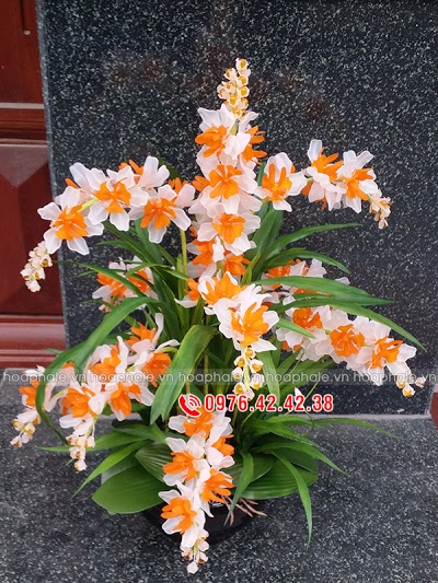Hoa lan pha lê nghệ thuật Hoa lan pha le nghe thuat