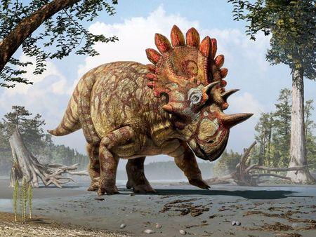 2 horned dinosaur