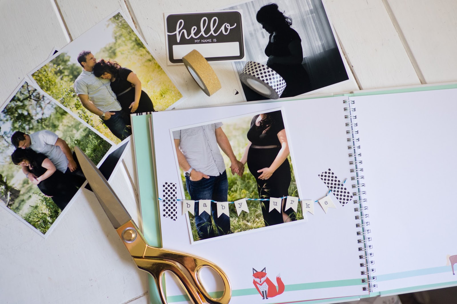 Domestic fashionista: baby's first year: a baby book