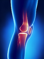 Knee Pain Prevention