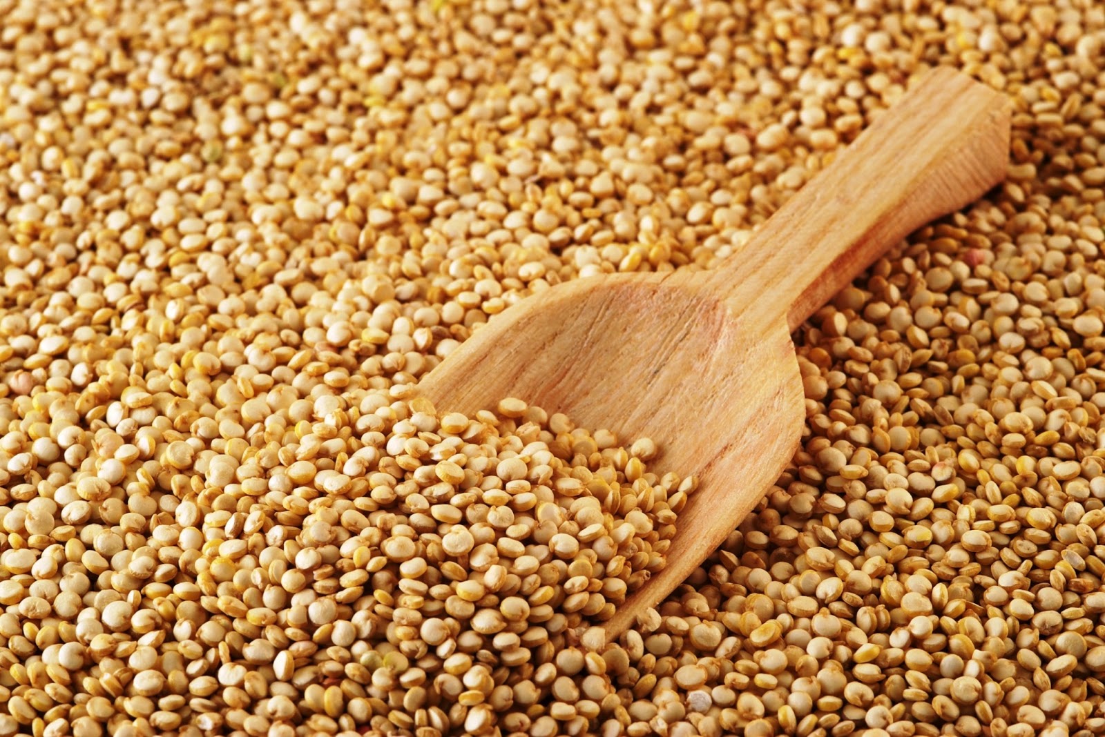 Quinoa