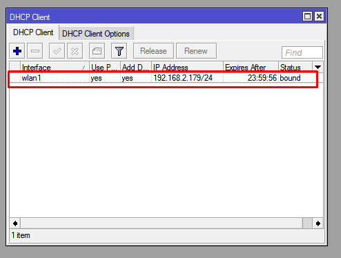 Mikrotik dhcp server настройка. Device enabling service driver что это. Client option. Самый маленький тонкий клиент. Lin интерфейс.