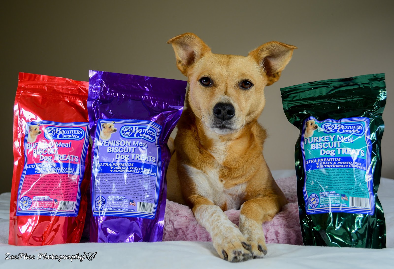 ZoePhee Brothers Complete Premium Dog Food Review