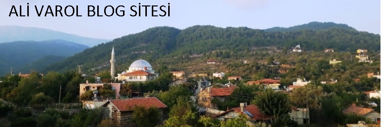 Ali Varol Blog Sitesi