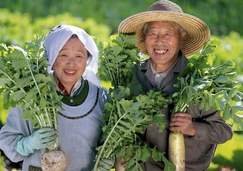 how to live over 100 years how to live over 100 years