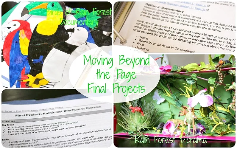 Moving Beyond the Page Final Projects from School Time Snippets