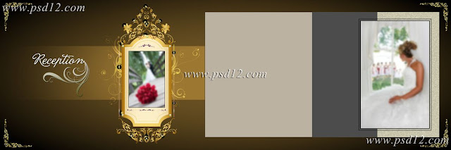 Digital wedding albums custom designs