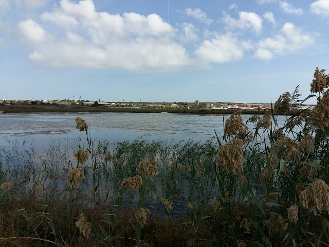 Ruta en bici Elche - Santa Pola Ruta en bici Elche - Santa Pola