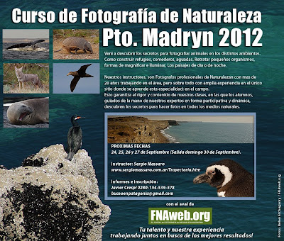 Curso de Fotografia de Naturaleza en Puerto Madryn