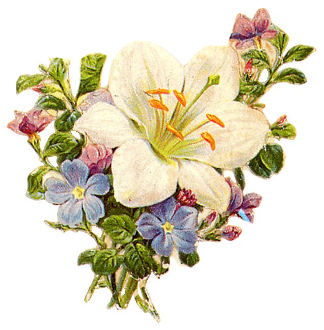 free victorian flower clip art - photo #6