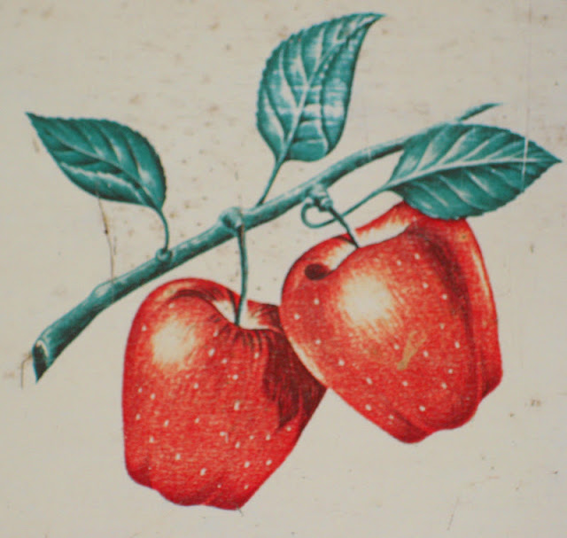 vintage grey vintage red apples