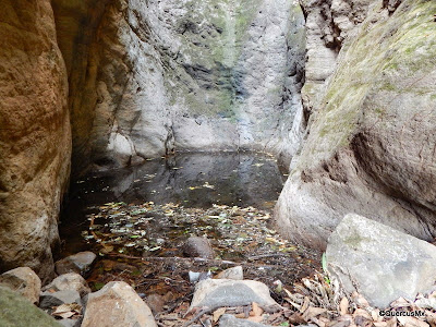 El pié de la cascada El Mante, justo arriba del escalón de 4 metros