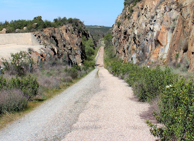 Entre jaras por la Vía Verde de la Jara