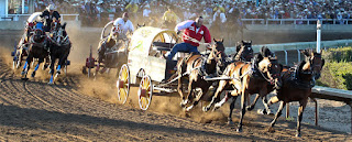 Chuck wagon races Calgary Stampede