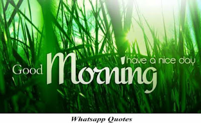 good-morning-my-love good-morning-love-quotes