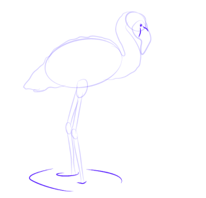 Tutorial Mengambar Mengambar Burung Flamingo