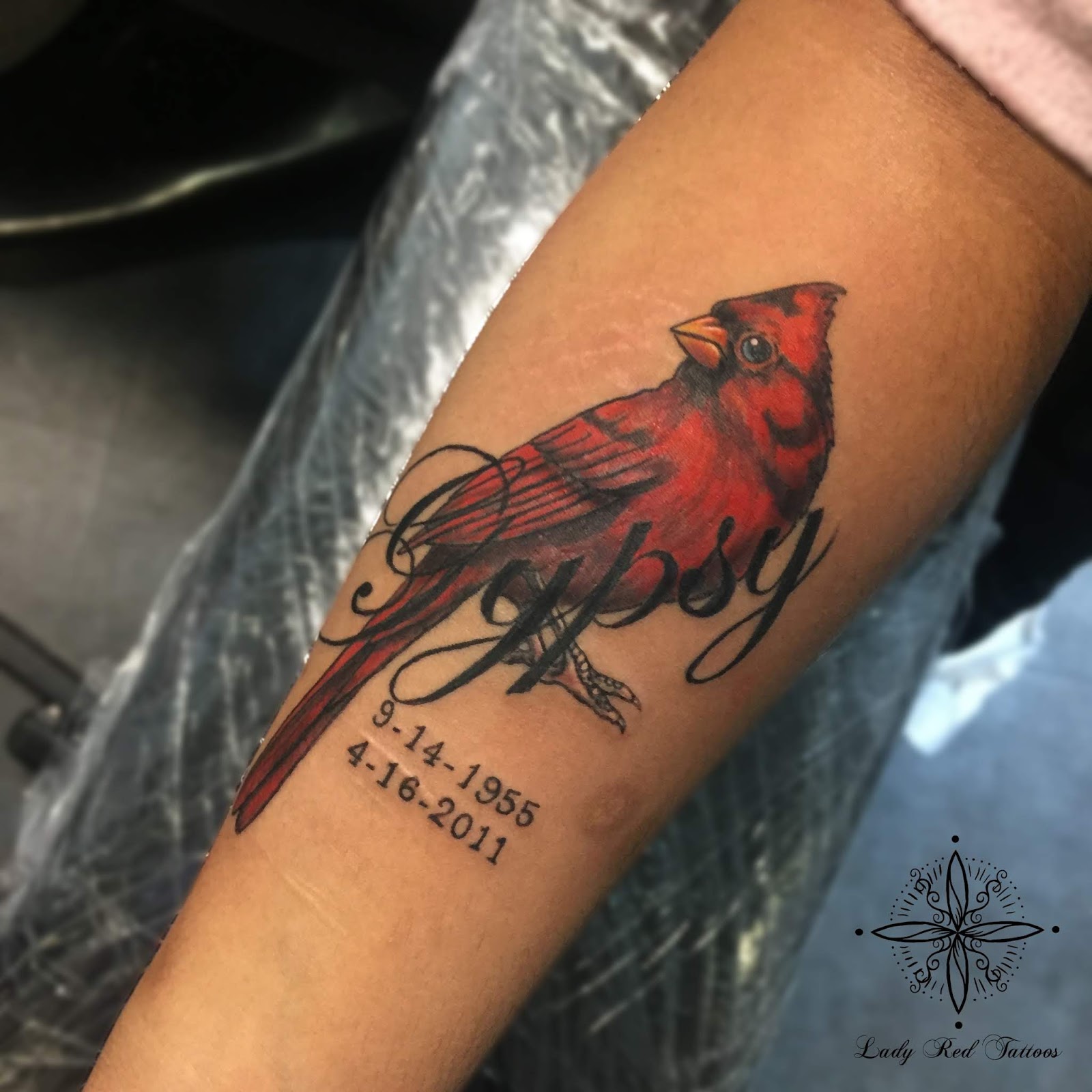 Aggregate 70 Red Cardinal Tattoo In eteachers