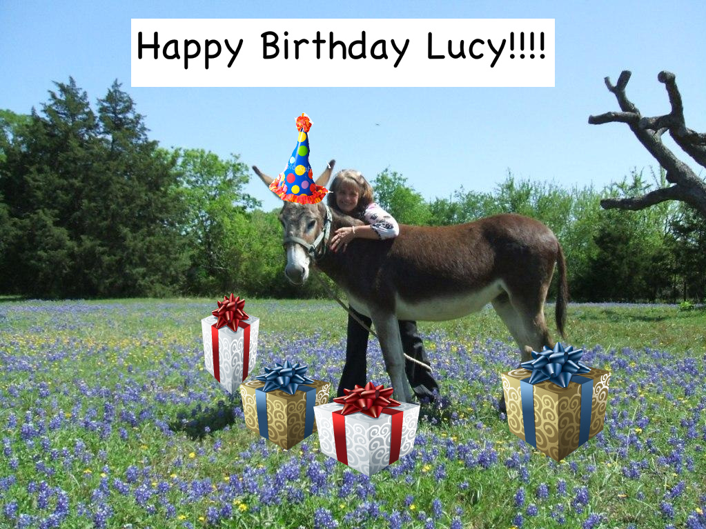 Lucy+Birthday.jpeg