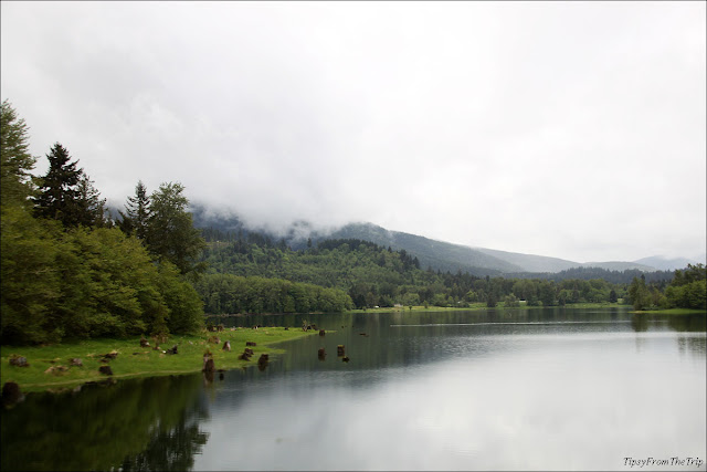 Alder Lake, Washington. Alder Lake, WA