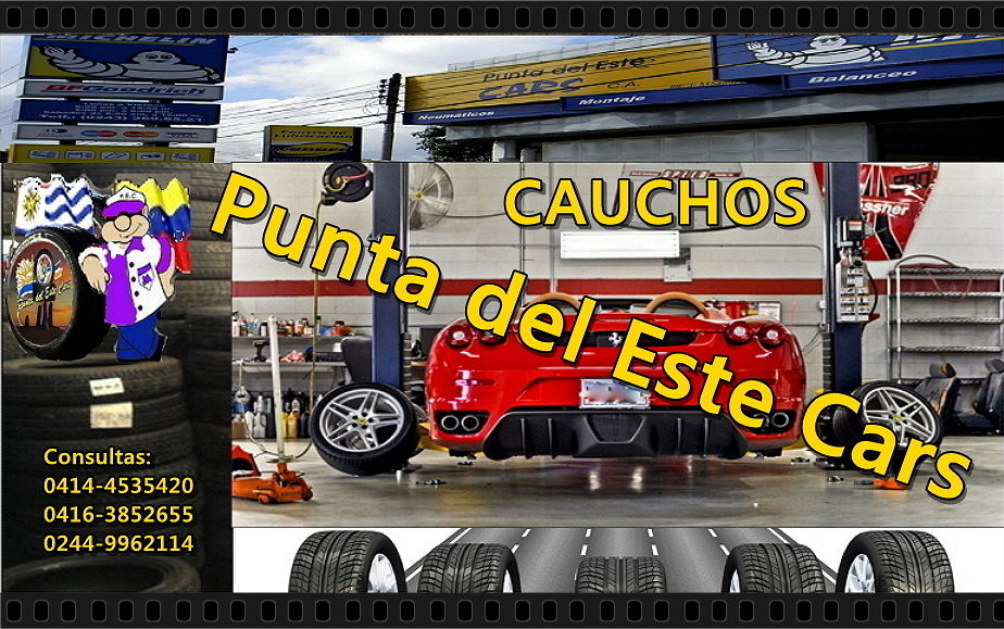 Ruedas Mostrador Autopartes Lista de Precios Cauchos