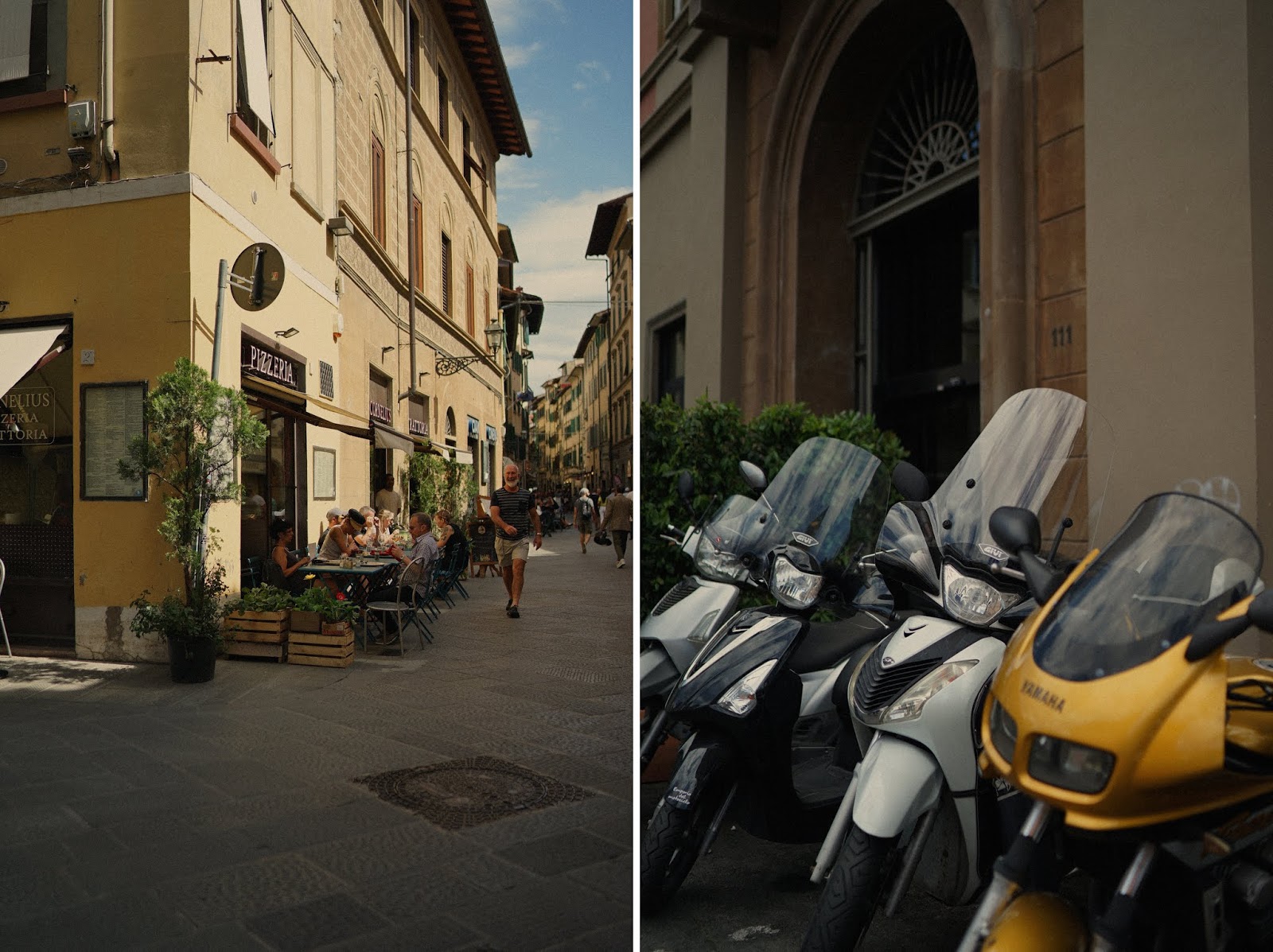 POSTCARDS FROM ITALY / PROSECCO PATINESS