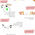 ملصق لألعاب تربوية يمكن اعتمادها في يوم التعاون المدرسي ملصق لألعاب تربوية يمكن اعتمادها في يوم التعاون المدرسي