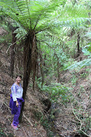 Standing under the silver fern, the symbol of New Zealand