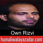 https://www.humaliwalyazadar.com/2018/08/own-rizvi-nohay-2019.html