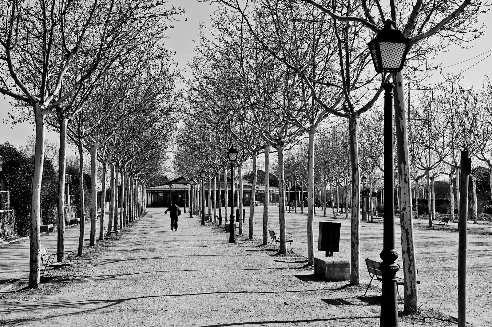 Caminante Parque Polvoranca, Alcorcón 2014 Caminante Parque Polvoranca, Alcorcón 2014