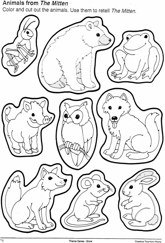 i am thankful for animals coloring pages - photo #46