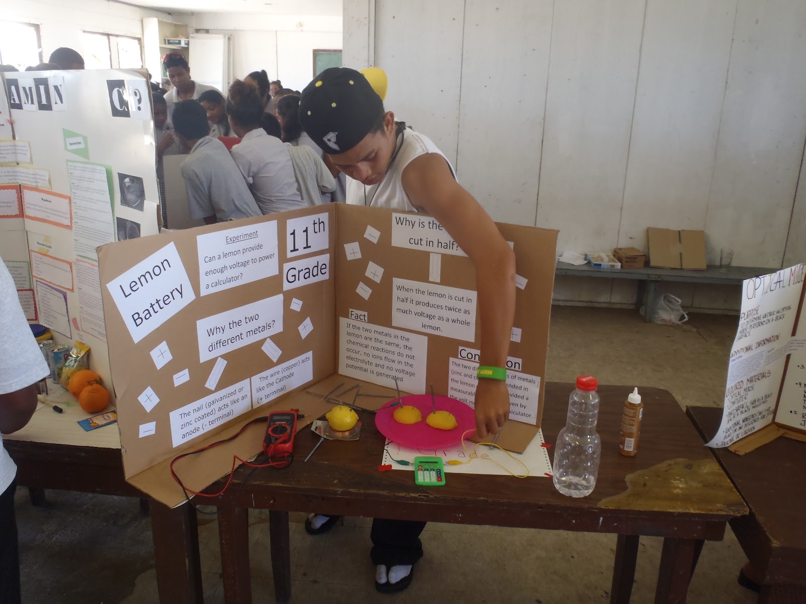 11th Grade Science Fair Projects