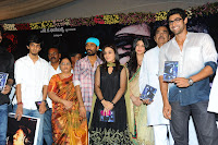 Three Audio Launch Gallery [Andhrula Music]