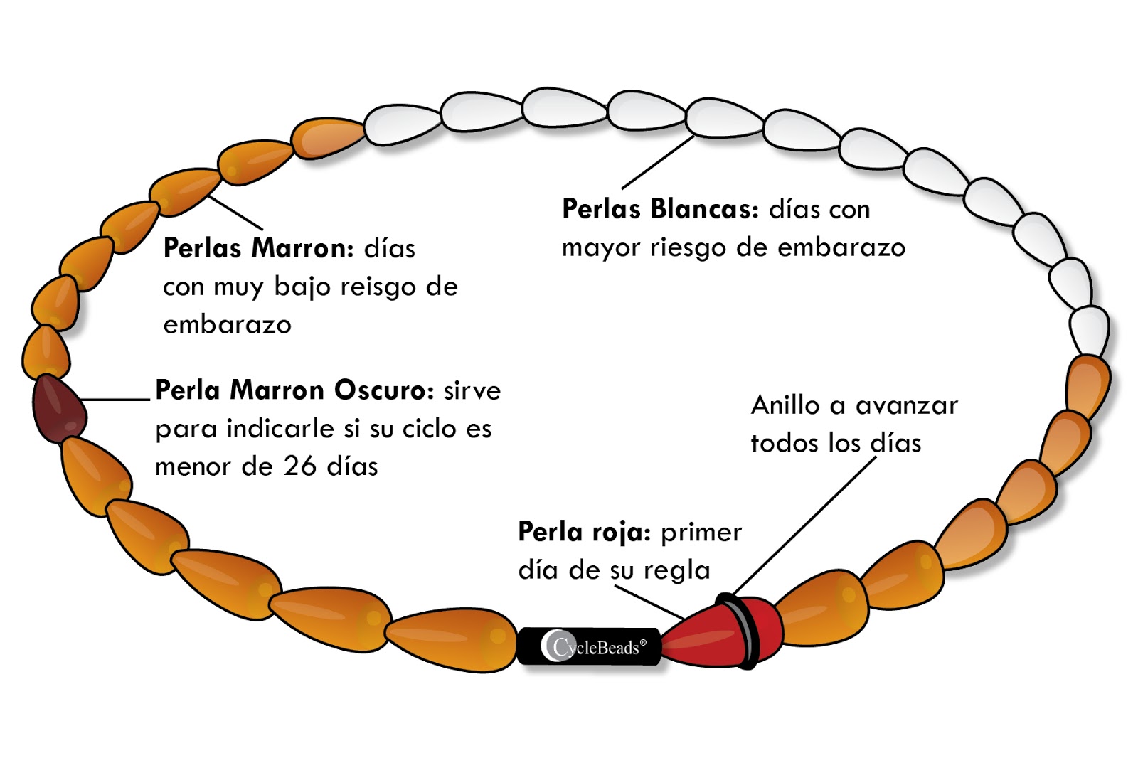 Edublog Enfermería Collar del Ciclo o Cicle Beads