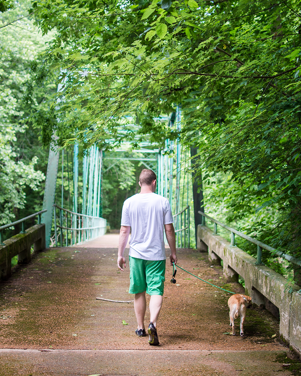 Walking in the woods FAQs about adopting an abused dog // the-lifestyle-project.com