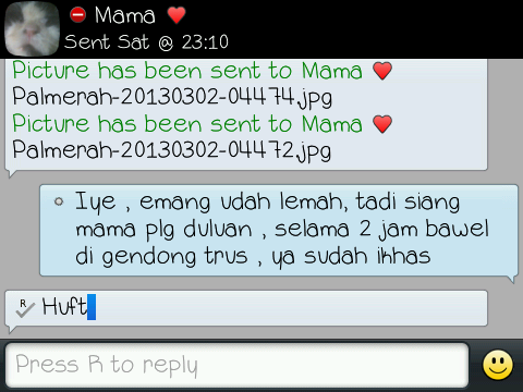 Send sat. Send sat. Sat sample test. Mysat. School profile common app.