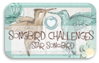 Star Songbird 19-01-2014