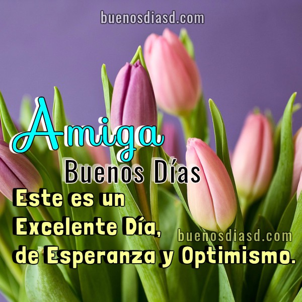Imagenes Y Frases De Buenos Dias Amiga | frases de buenos d 237 as amiga con lindas im 225 genes de Imagenes Y Frases De Buenos Dias Amiga | frases de buenos d 237 as amiga con lindas im 225 genes de