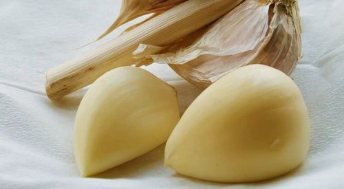 Cara Mengobati Telinga Bernanah Dengan Bawang Putih Cara Mengobati Telinga Bernanah Dengan Bawang Putih