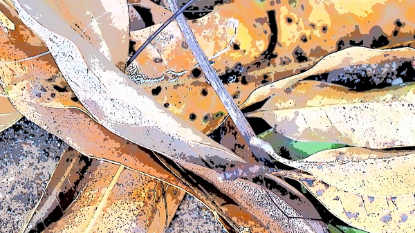 OV3 Art Filter Effect - Key Line OV3 Art Filter Effect - Key Line