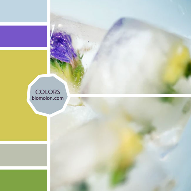 variedad en color moodboard 66 variedad_en_color_moodboard_66