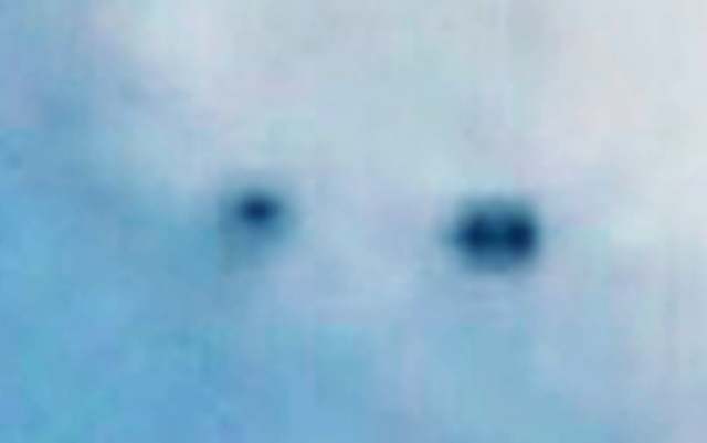 UFO News ~ Three UFOs watch plane flying in Australia plus MORE Theree%2BUFOs%2Bnear%2Bplane%252C%2Baustralia%252C%2B2017%252C%2Bnovember%252C%2Bsecret%252C%2B