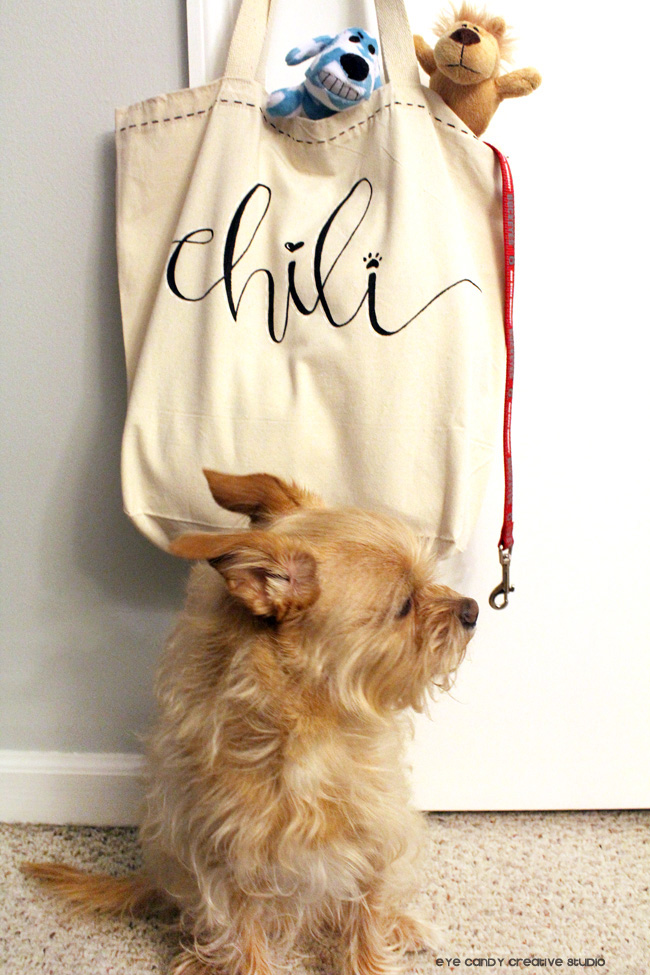 Eye Candy Creative Studio DIY Personalized Doggie Bag