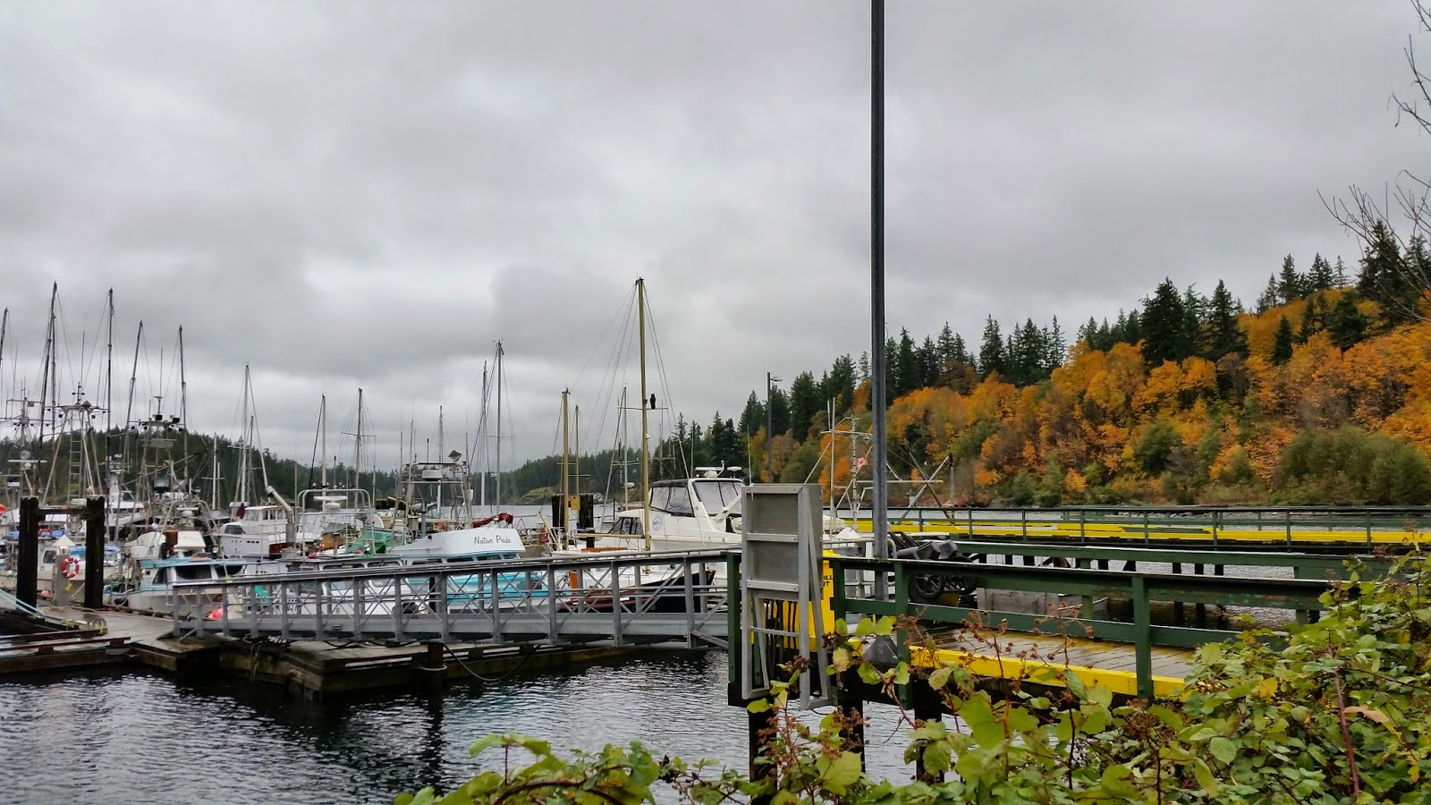 Life, Art and Travel of Lynn Myette Quathiaski Cove, Quadra Island, B.C.
