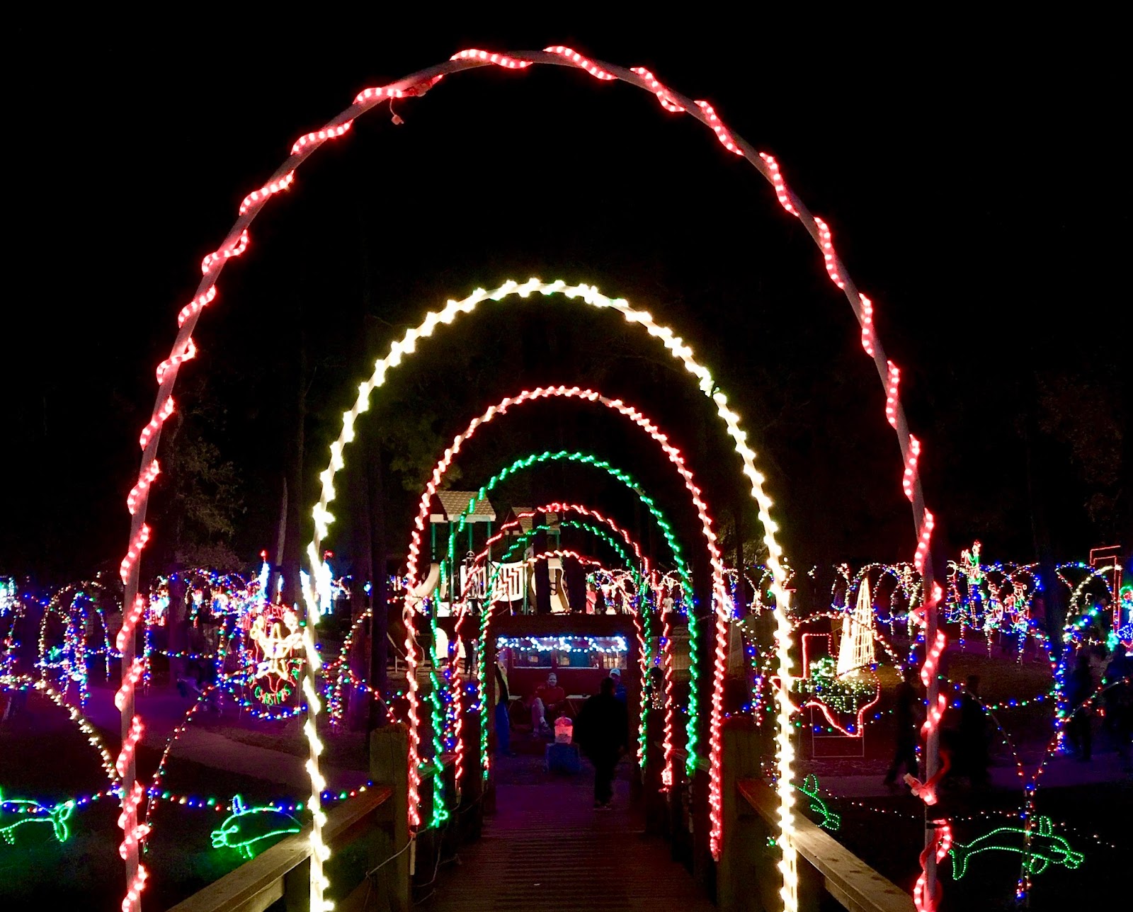 The Annual Dickinson Festival of Lights, Texas