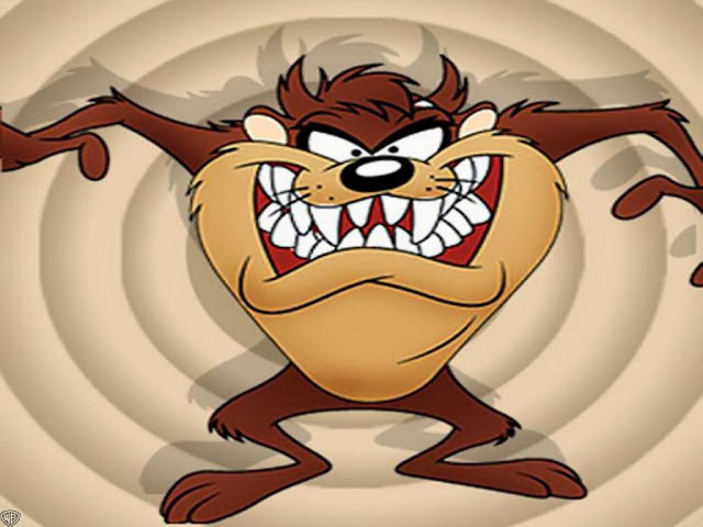 Wallpaper Tazmania HD Wallpaper Tazmania HD