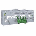 On a testé Dermoscent PYO-Spot On a testé Dermoscent PYO-Spot