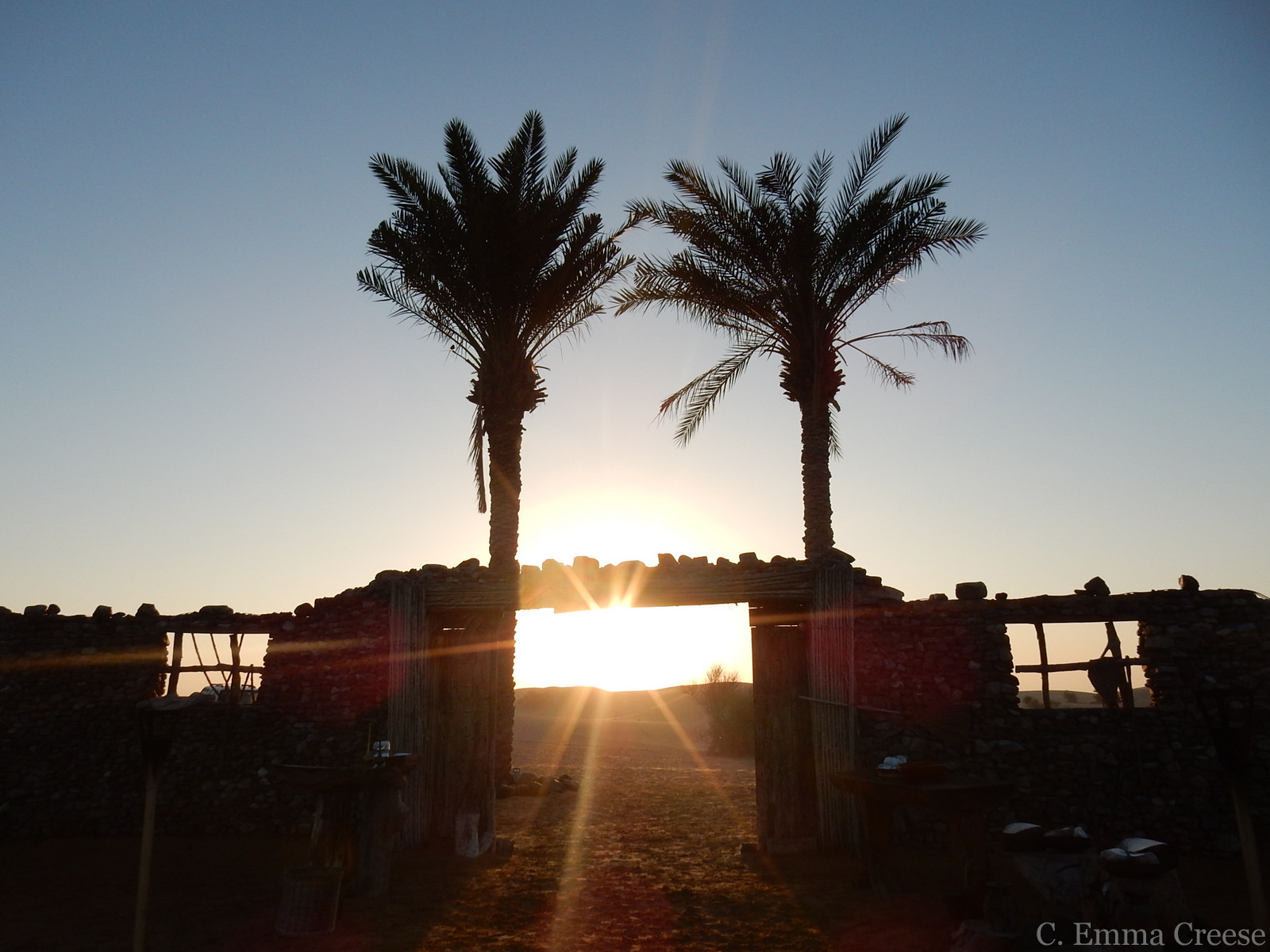 A night in Dubai desert luxury Adventures of a London Kiwi