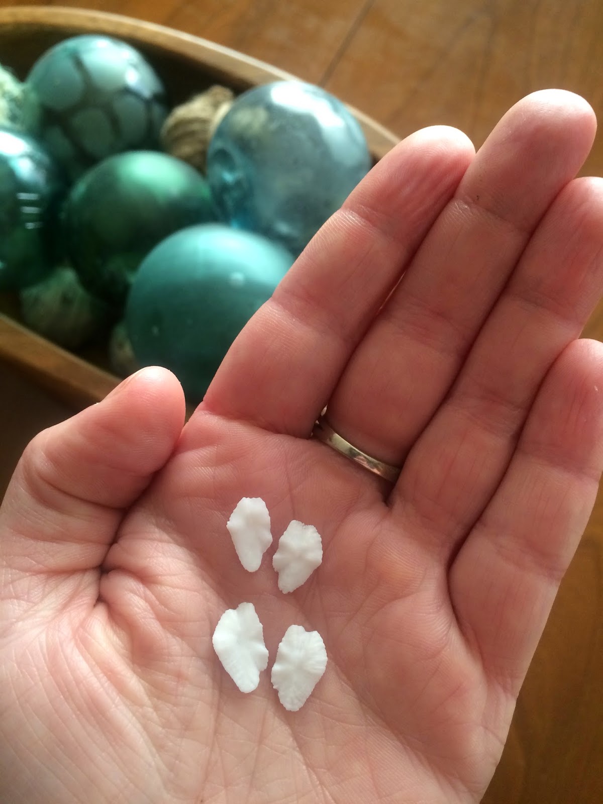 ThoseAlaskanGirls January 2010