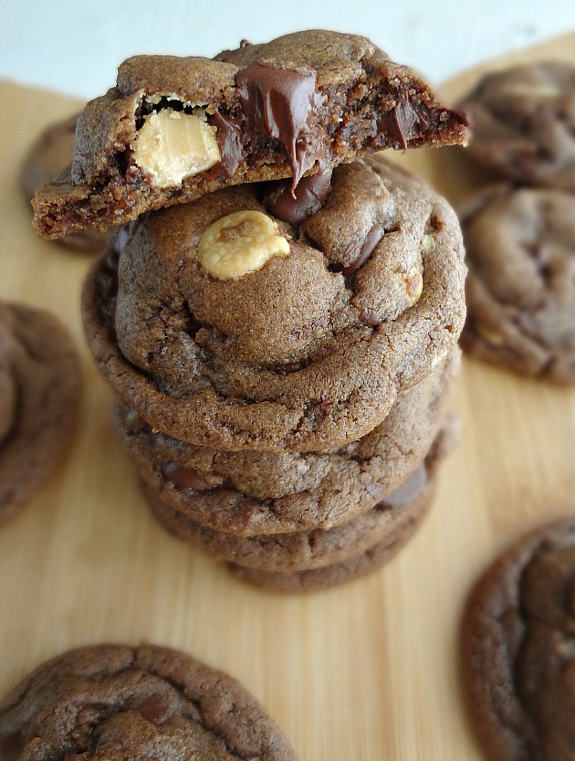 Double Chocolate Peanut Butter Cookies Double Chocolate Peanut Butter Cookies
